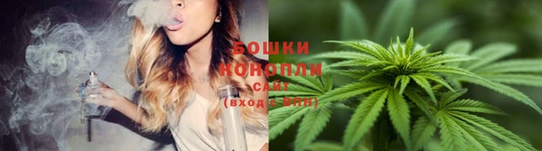 Альфа ПВП Нефтегорск