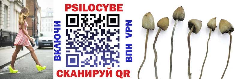 KRAKEN зеркало купить Абакан Псилоцибиновые грибы прущие грибы