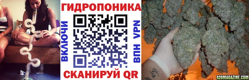 Конопля гибрид  купить  сайты  Абакан 